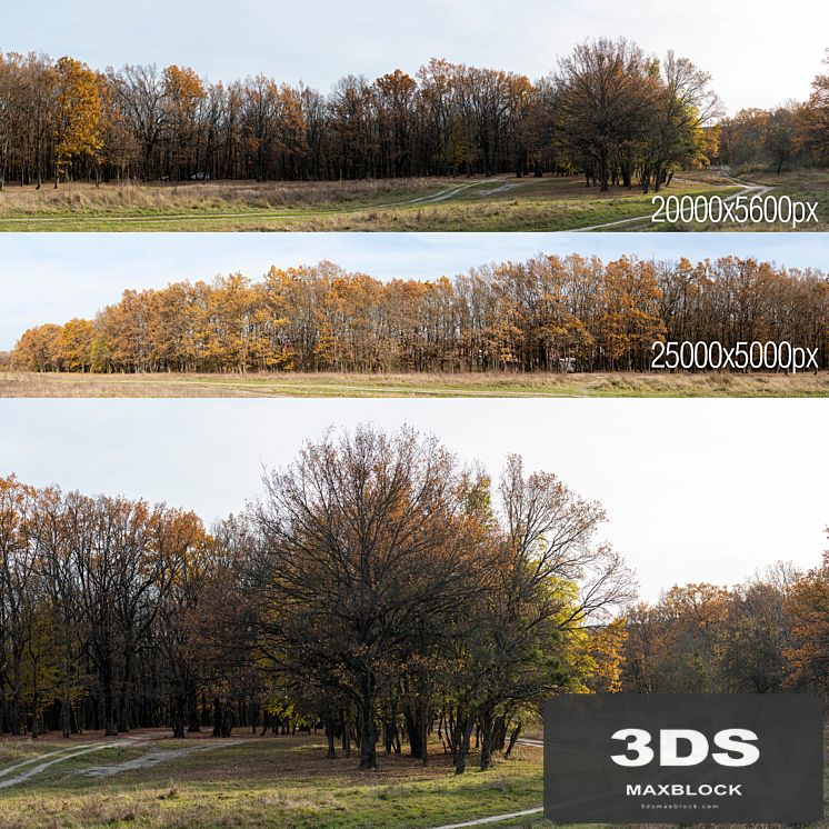 Oak Grove. 2 panoramas