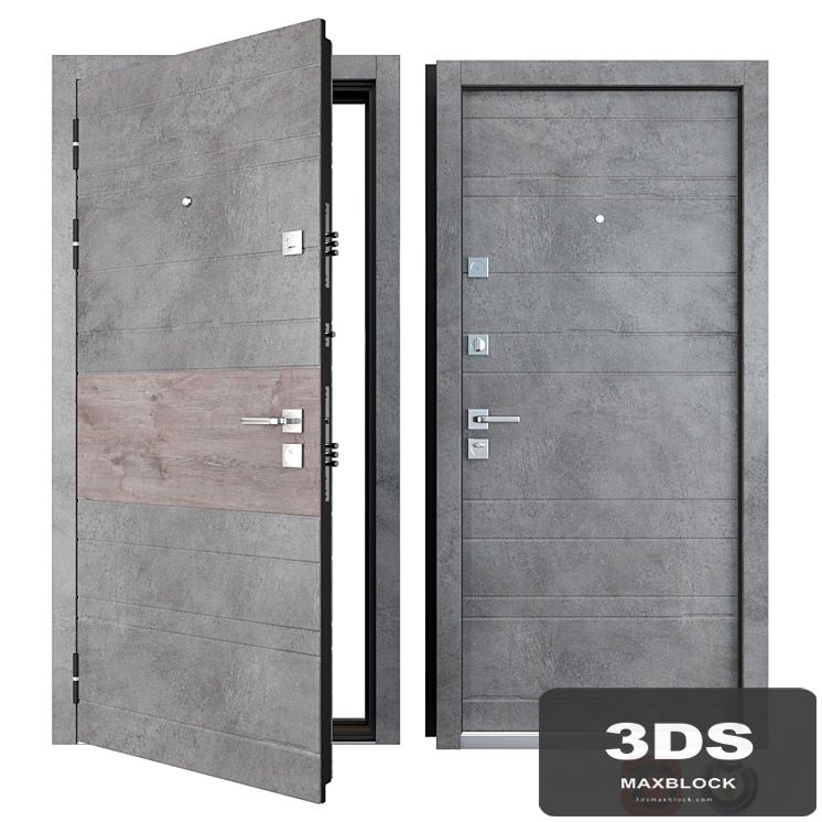 Entrance metal door of Tire (Zimen)