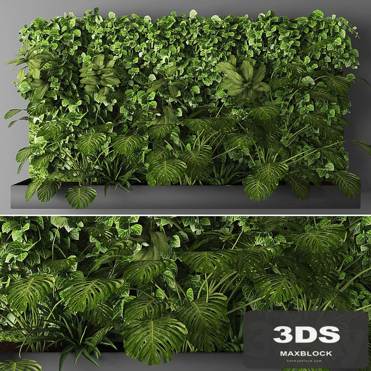 Vertical garden 011