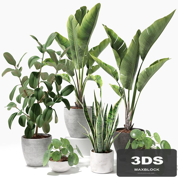 Set of plants 09