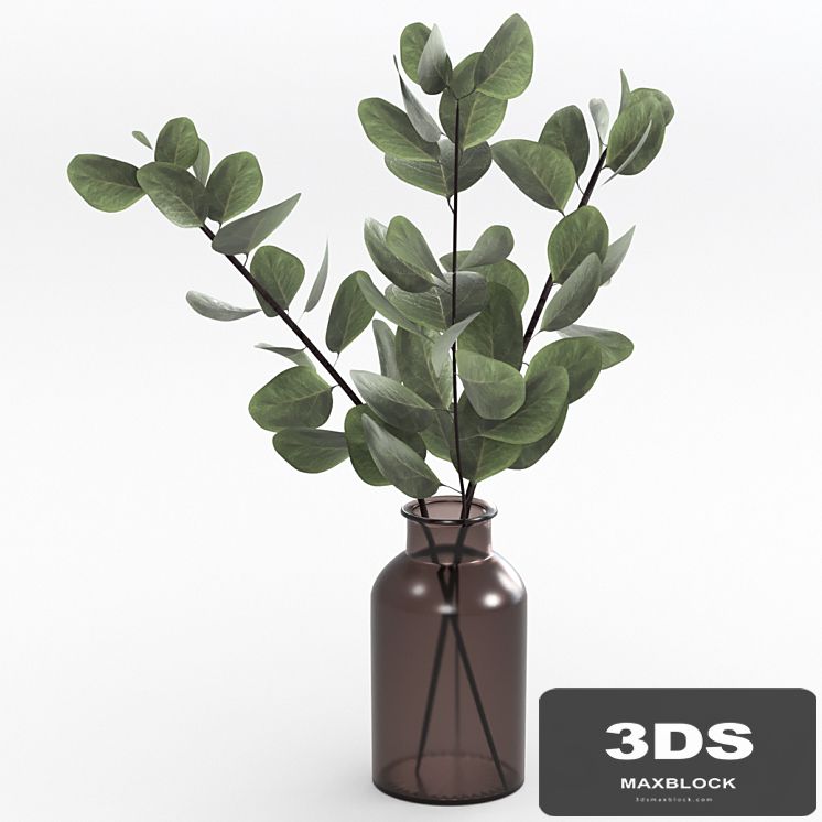 Bouquet of eucalyptus twigs.
