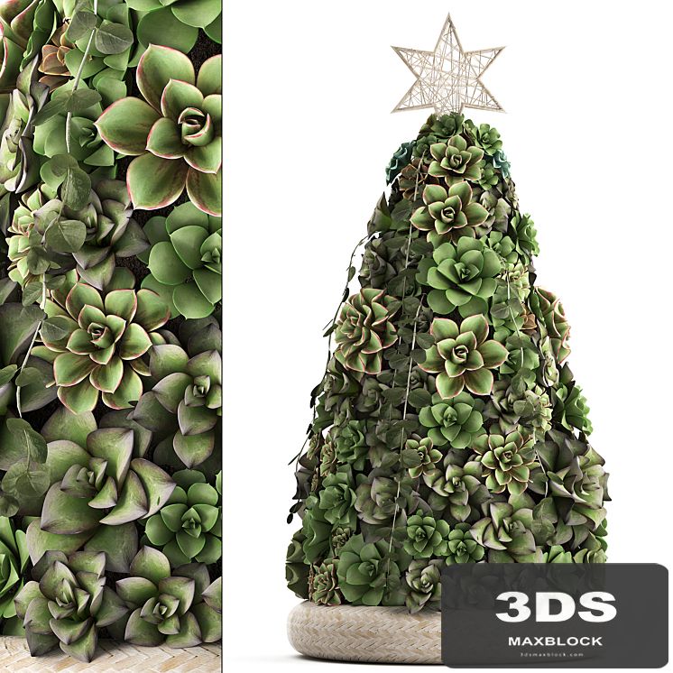 A collection of plants in a composition of succulents, Christmas tree, cake, Echeveria, decoration for the new year. Set 420.