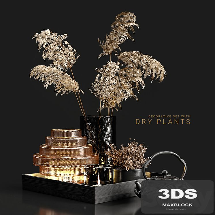Decorative set with dry plants 3