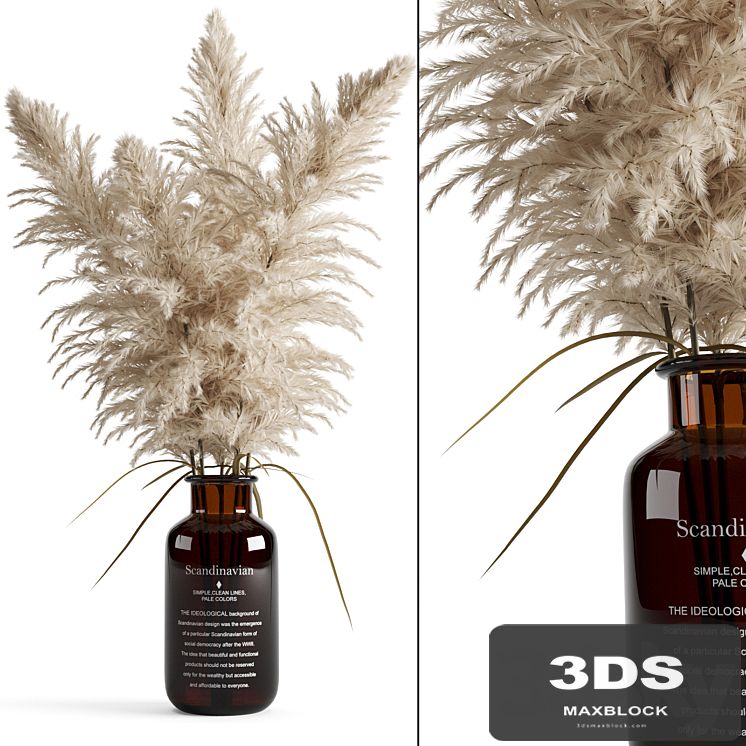 Cortaderia (pampas grass) in a vase
