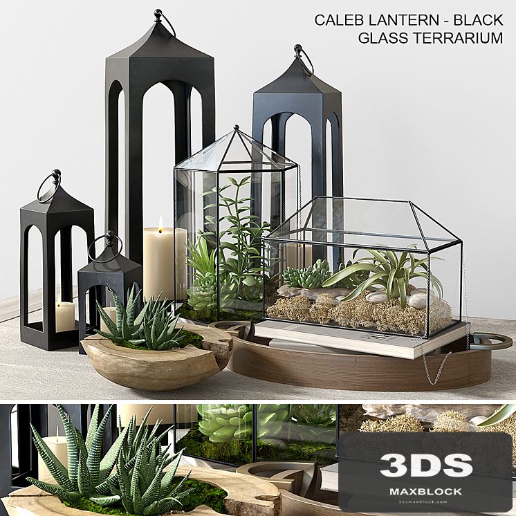 Pottery barn GLASS TERRARIUM