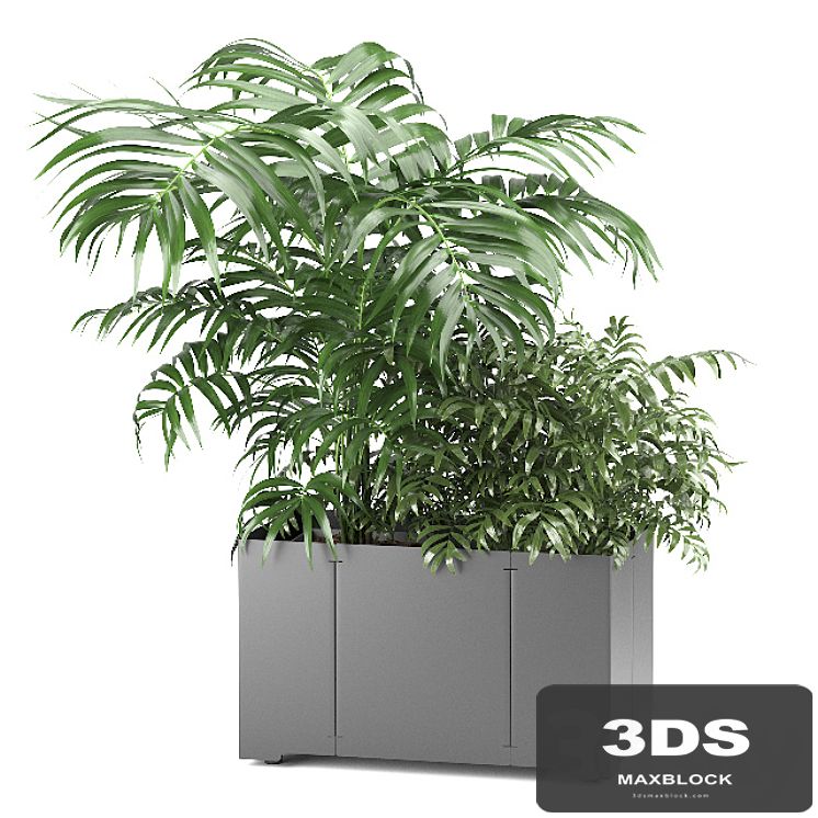Palm tree in a pot 02 (CAPE Collection)