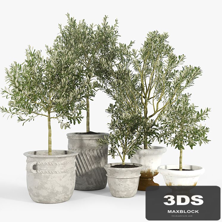 Eclectic Villa Planters