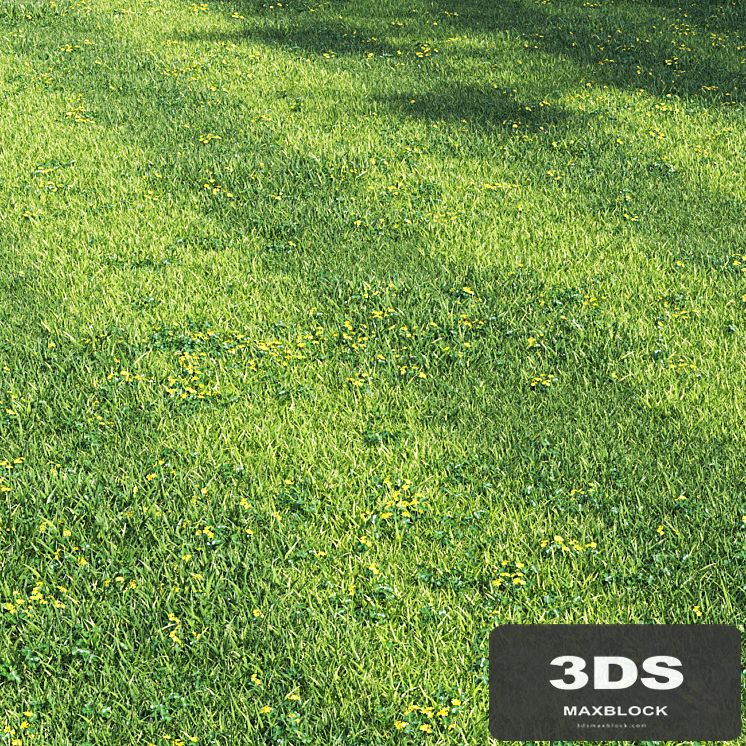 Grass england garden