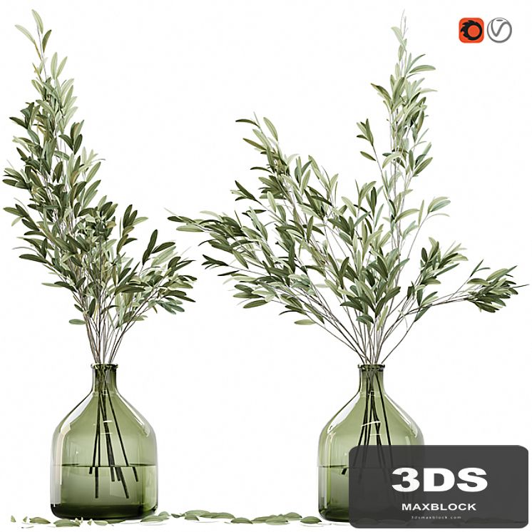 Olive stems in glass vase with water