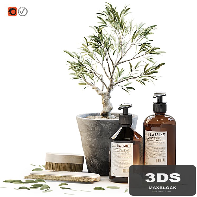 Tiny bonsai olive tree in stone pot with decor set for bathroom