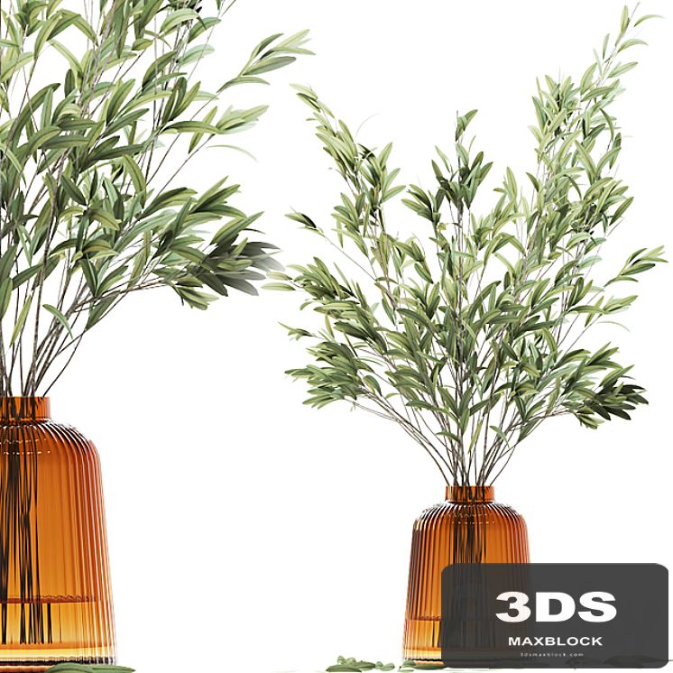 Olive stems in yellow glass vase with water