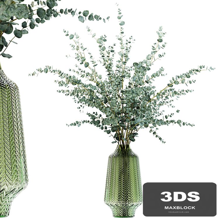 Eucalyptus branches in a green vase