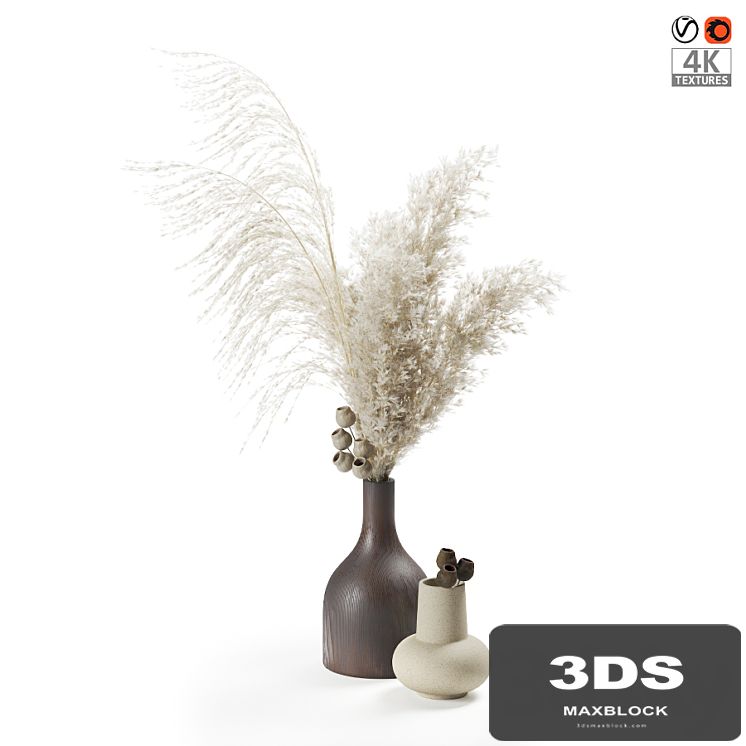 Bouquet of pampas grass