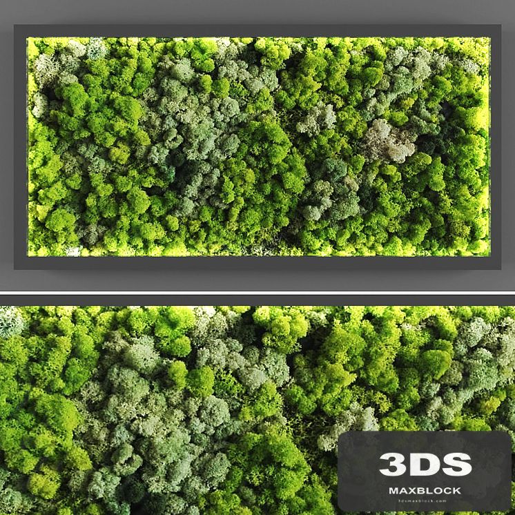 Vertical garden 059