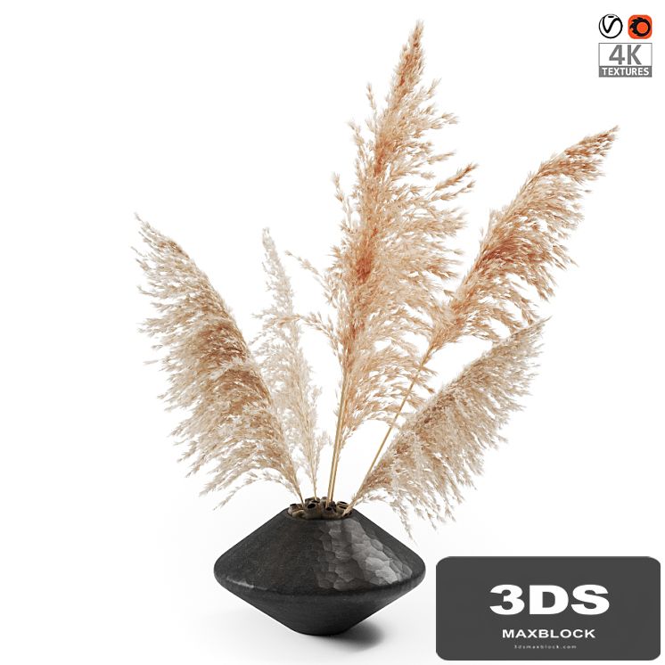 Vase with dried plants