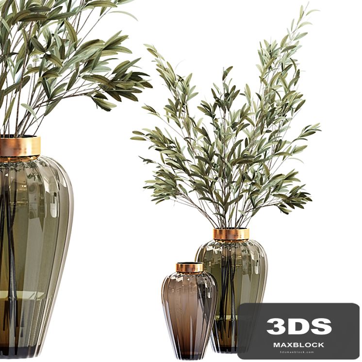 Olive stems in zara glass vase with water