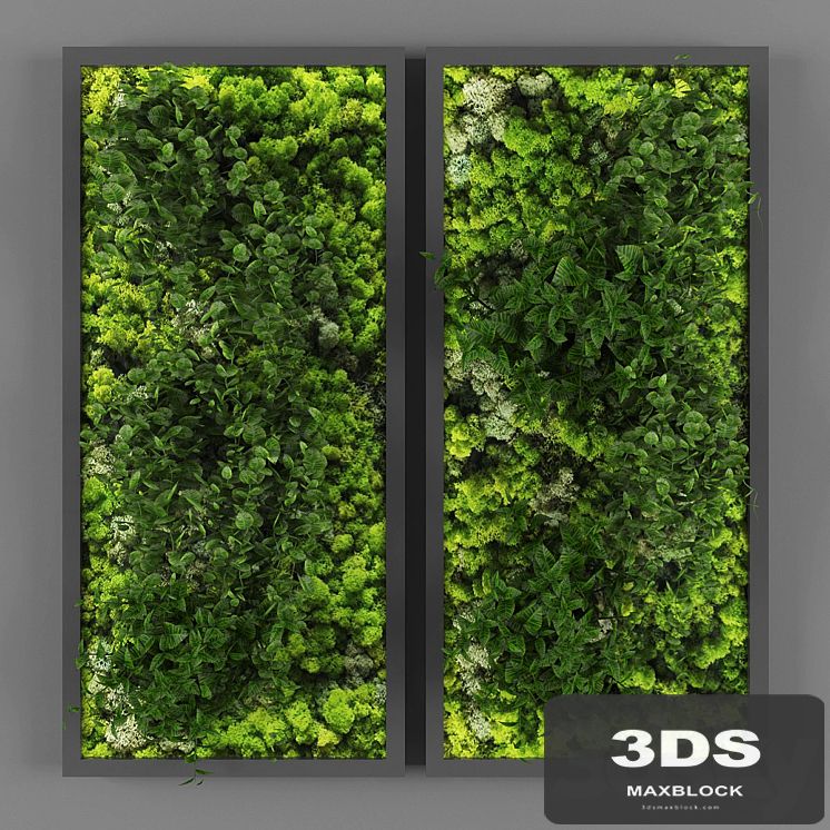 Vertical garden 062