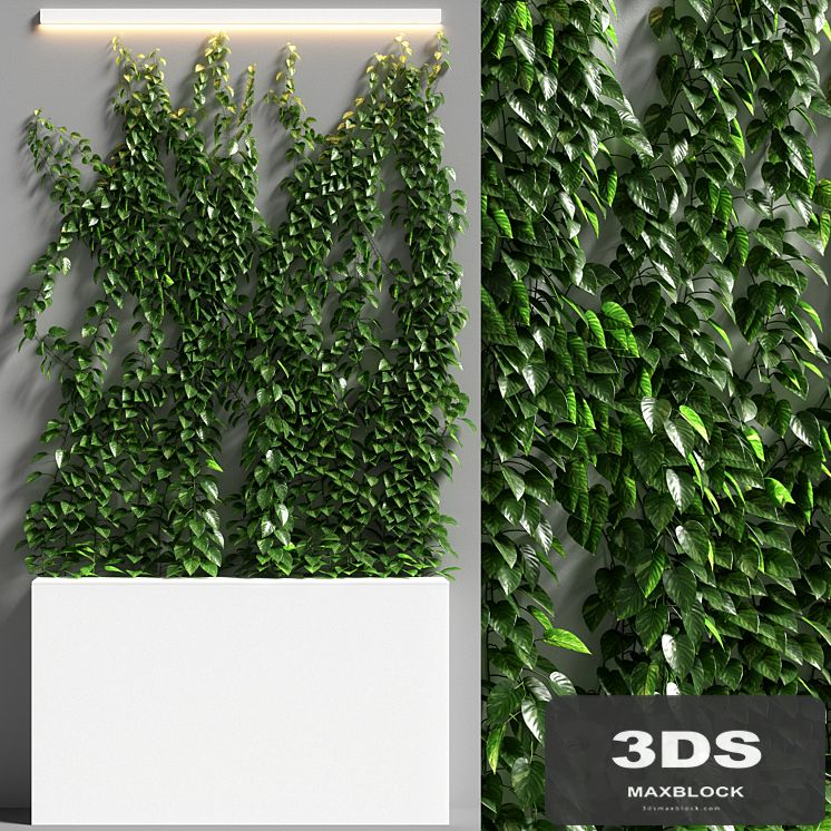 vertical garden 08