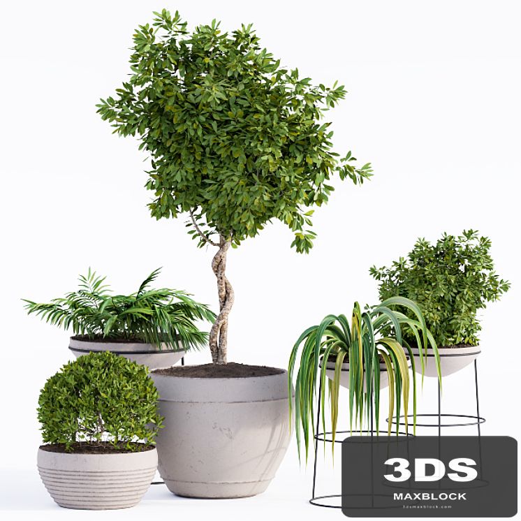 Outdoor Plants Full Set