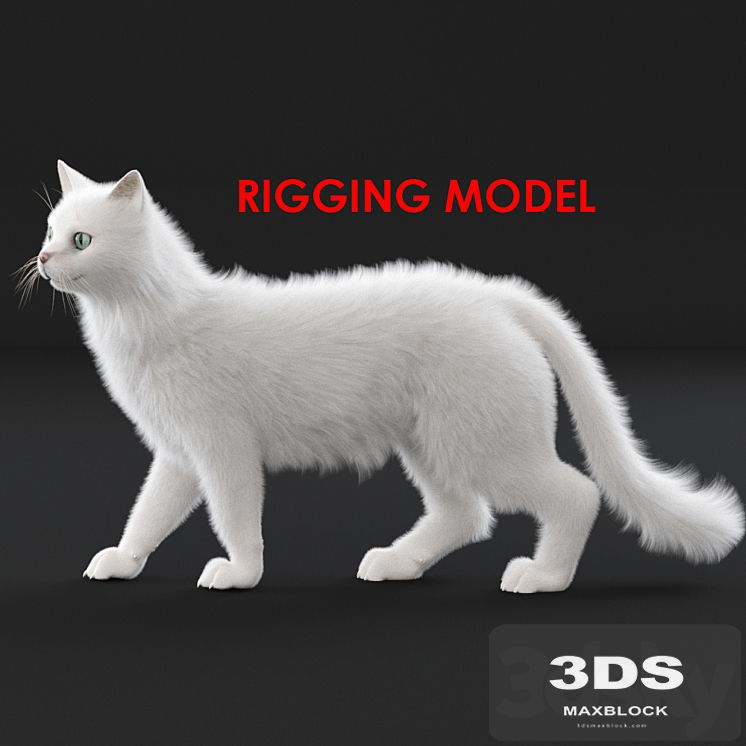 White cat (rig)