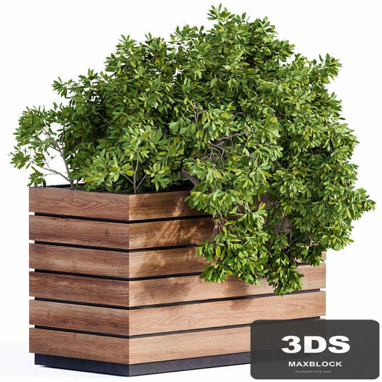 Plant Box Green & Wood