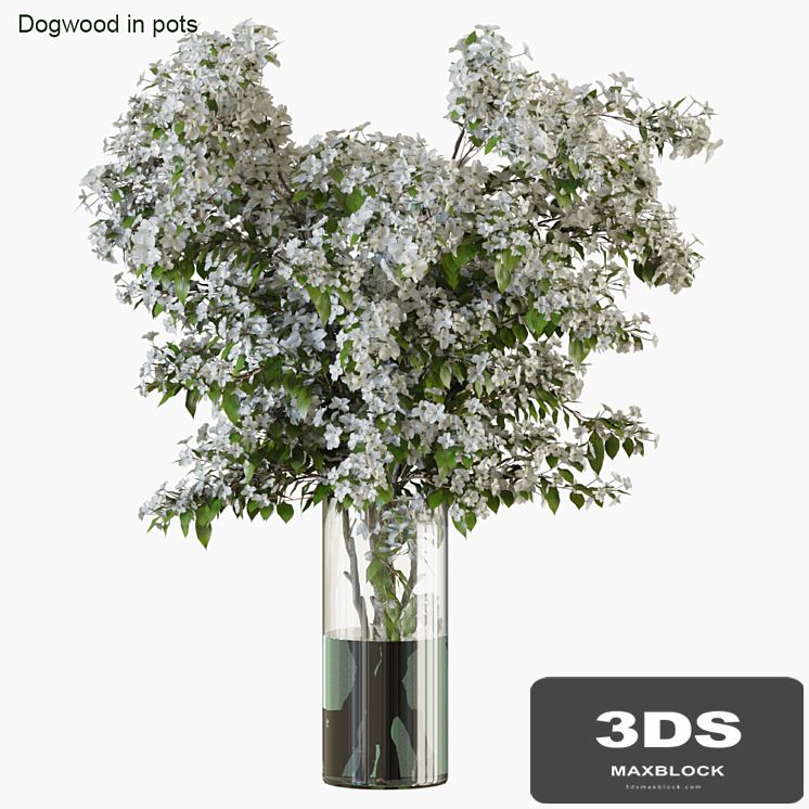 Branches in vases 34