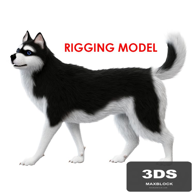 Dog (rig)