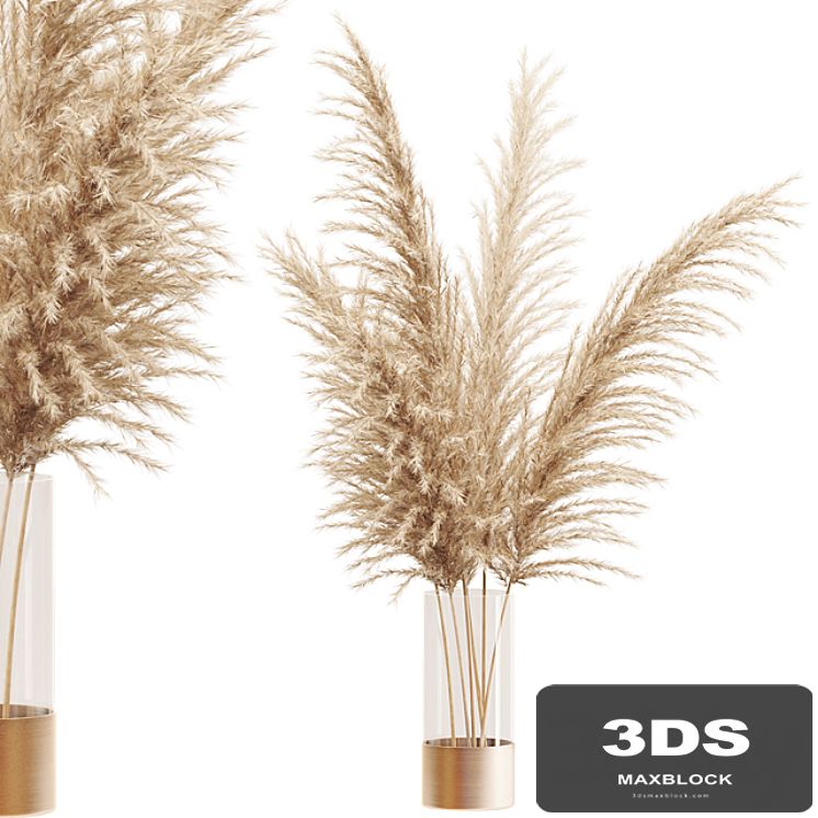 Dried flower pampas grass in glass gold vase