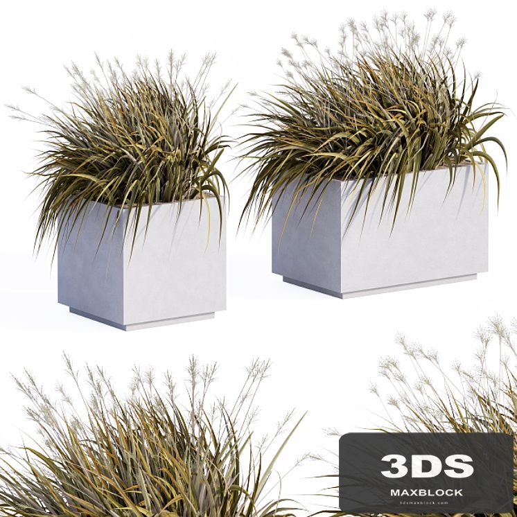 Concrete Plants Box
