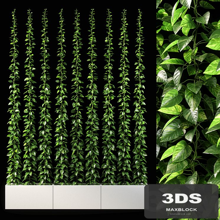 vertical garden 09
