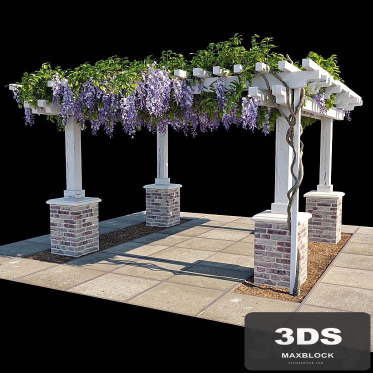 Pergola with Wisteria (Pergola with Wisteria)