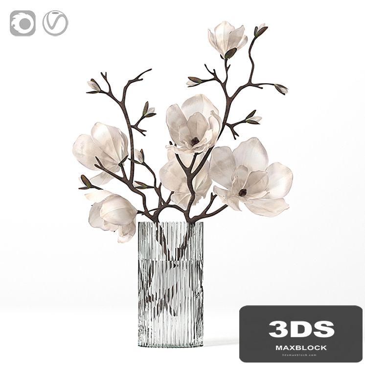 Magnolia