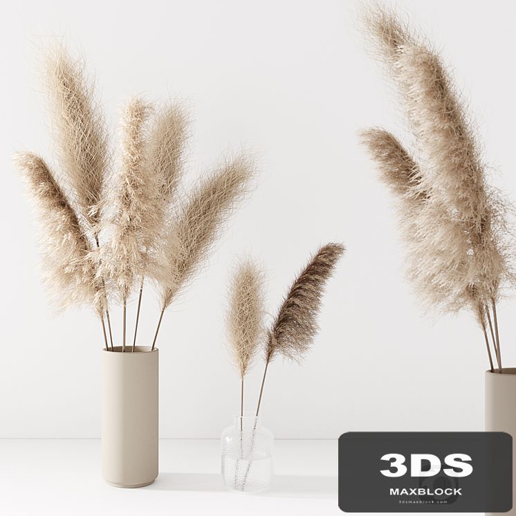 Set of pampas in vase