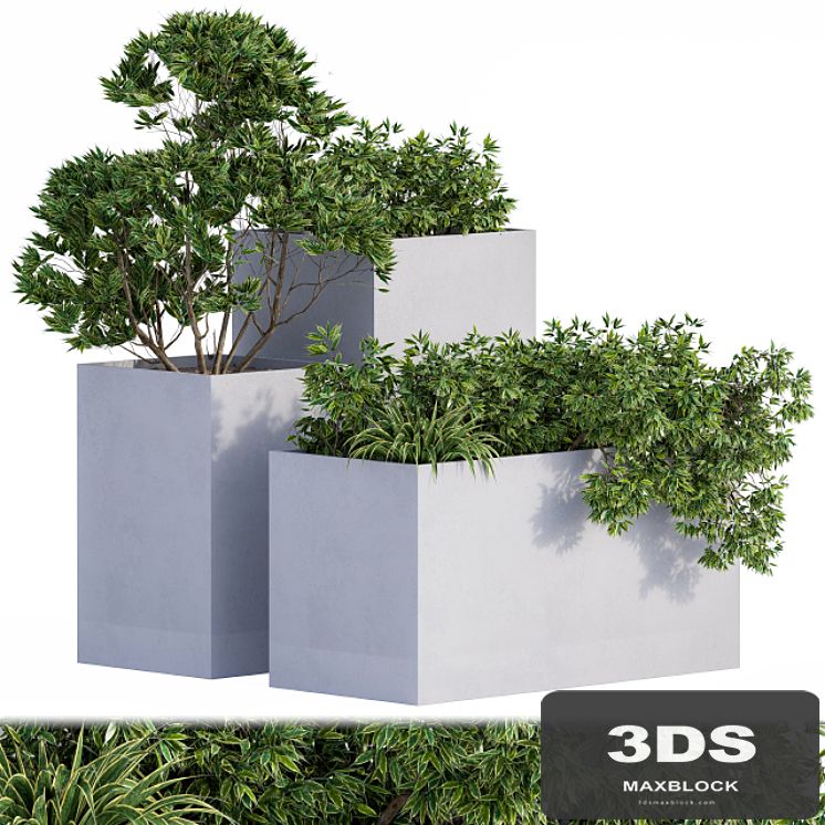 Outdoor Plants Box Concrete