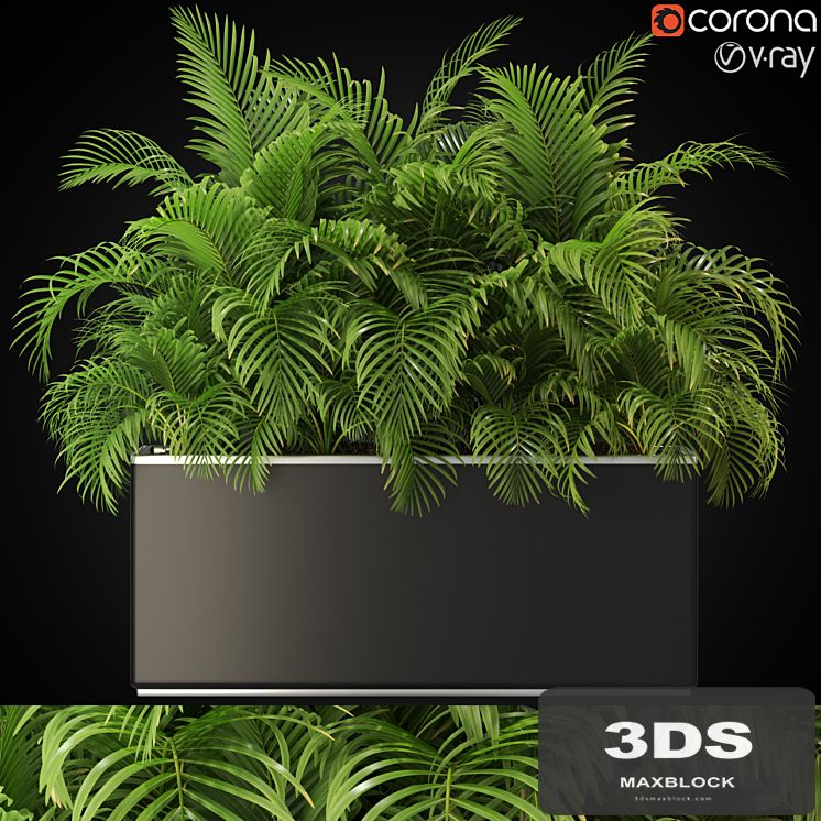 Plants collection 267