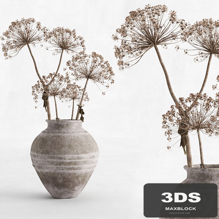 Hogweed in a clay vase