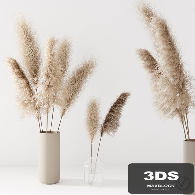 Set of pampas in vase