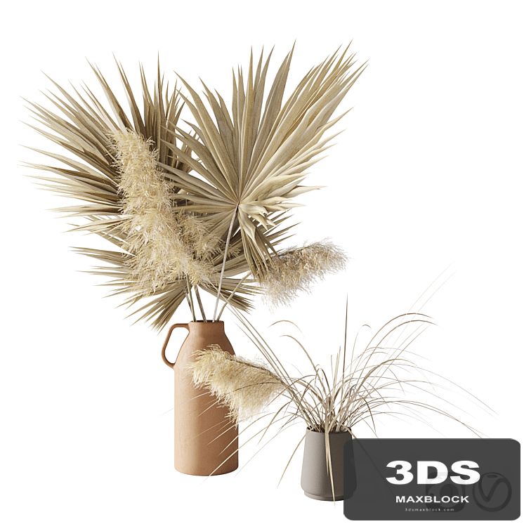 Dry palms and pampas