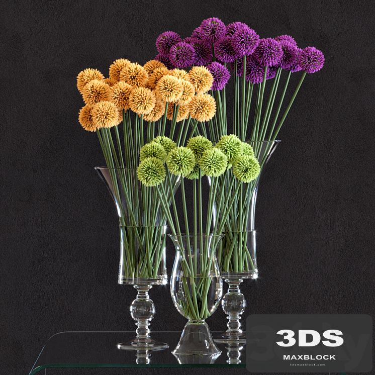 Flower Arrangement: Allium Set1