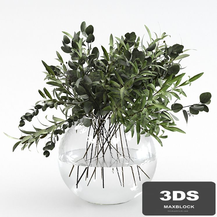 Bouquet of olives and eucalyptus