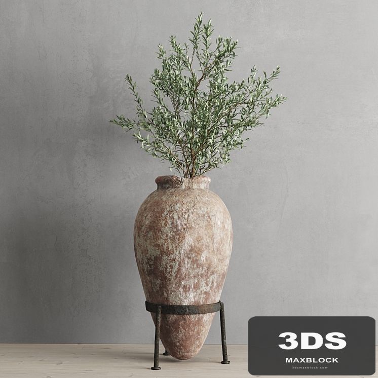 Antique vessel and olive branch