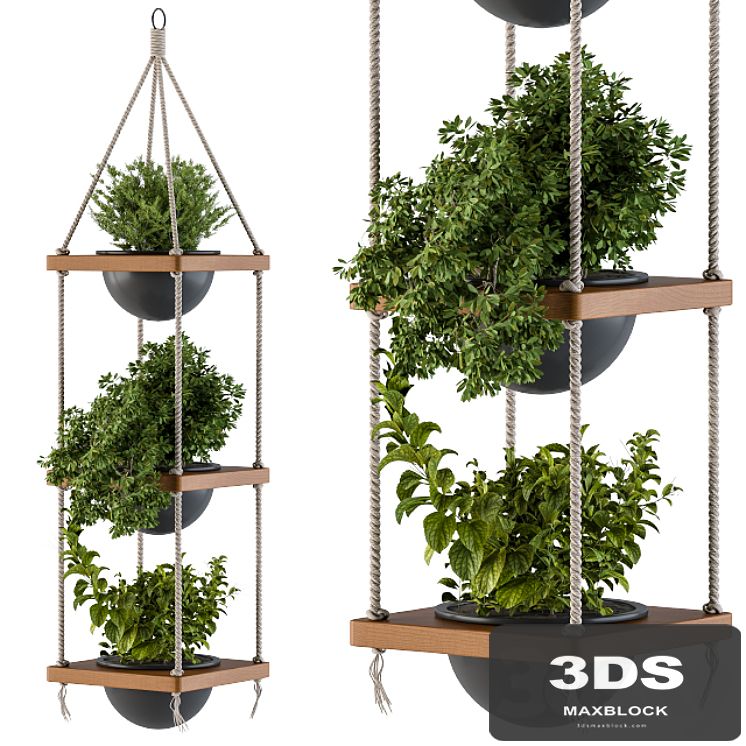 Hanging Plants Rope and Wood