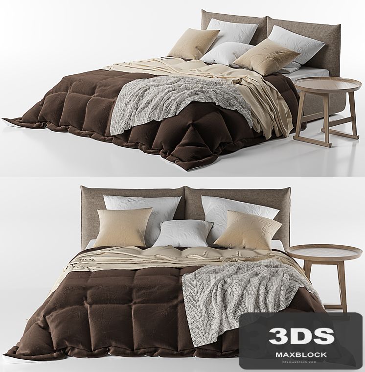 Venus bed