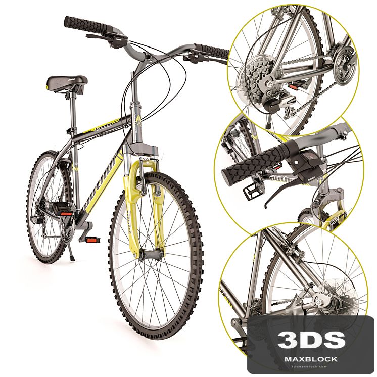 Mountain Bike Author Trophy