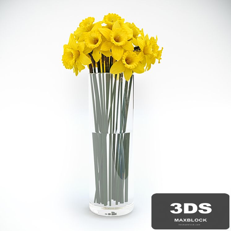 Tubular daffodil