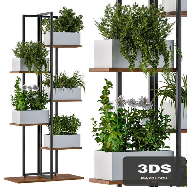 White Box Plants on stand