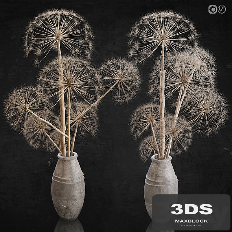 Decor set 11 Heracleum plant