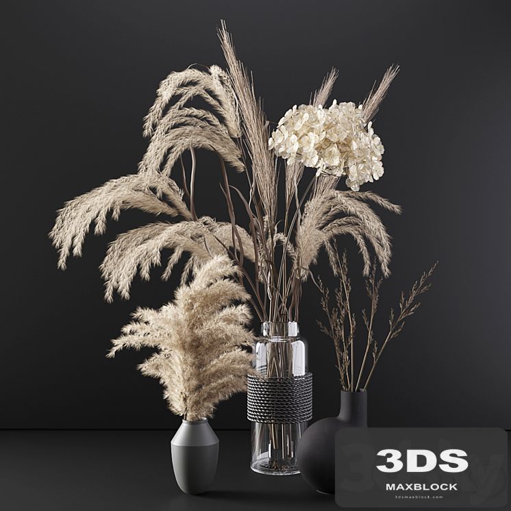 Set with dry plants
