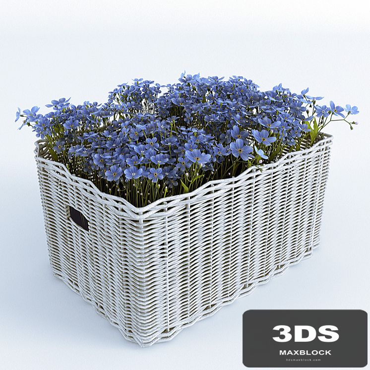 Basket with Forget-Me