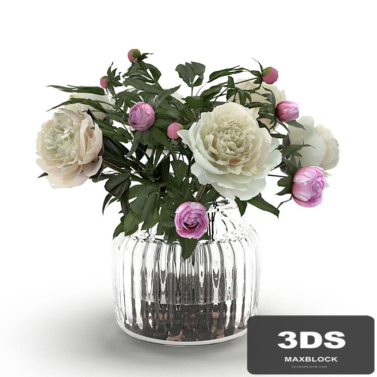 Cream Peonies in ribbed glass vase
